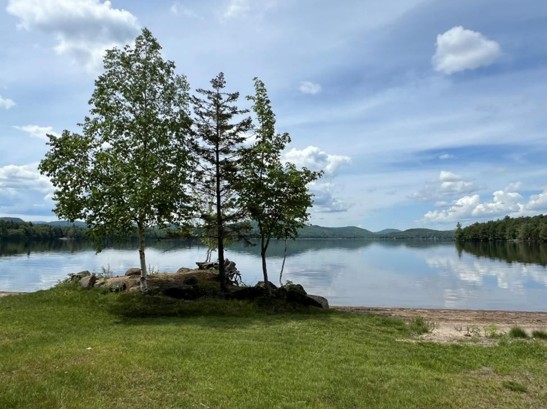 LPSA Lakes Management Plan